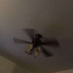 Meet your Posher, Frankie